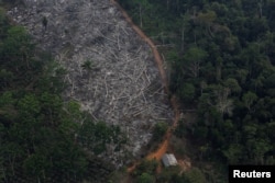 17% din suprafața totală a Amazonului a fost deja distrusă. Bolsonaro a reușit, pe parcursul unui mandat de patru ani, să spargă multiple recorduri când vine vorba de defrișare.