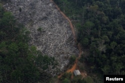 Shpyllëzimi i Amazonës. Brazil, fotografi nga arkivi.