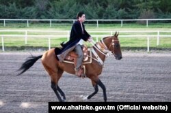 Президент Туркменистана Гурбангулы Бердымухамедов скачет на коне ахалтекинской породы. Официальное фото.