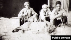 تصویری تاریخی با شیر در ایران