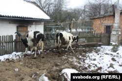 Асабістая прысядзібная гаспадарка ў Івацэвіцкім раёне. Ілюстрацыйнае фота