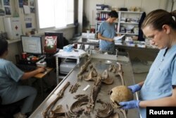  Експерти на правосъдната медицина и до през днешния ден се пробват да разпознават жертвите в всеобщите гробове. Снимката е от юни 2011 година 