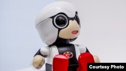 Uşaqsız ailələr üçün yaradılmış robot - Kirobo Mini