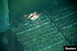 Апатқа ұшыраған реактордағы су астында тұрған уран отыны құйылған ыдыстар. Фукусима, 7 қараша 2013 жыл.