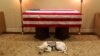 Салі, залаты лабрадор, які працаваў у якасьці службовага сабакі Джорджа Буша-старэйшага, сьпіць побач з труной прэзыдэнта. Х'юстан, штат Тэхас, 2 сьнежня 2018 году