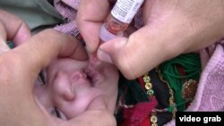 د شري ضد واکسین (پخوانی عکس)