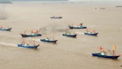Одна из бесчисленных рыболовецких флотилий Китая, каждый день выходящих в Мировой океан