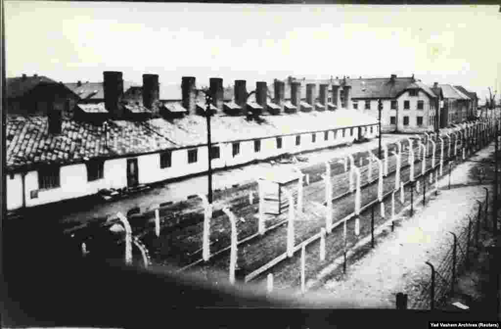 Sastojao se od Auschwitza I - glavnog logora (Stammlager) u Osvjenćimu, Auschwitza II - Birkenau - koncentracijskog i logora za istrebljenje u Bžežinki, udaljenoj tri kilometra, Auschwitza III - Monovica - radni logor u Monovicama, za rad u fabrici sintetičke gume firme IG Farben, i nekoliko desetaka drugih logora. na fotografiji: pogled na Auschwitz-Birkenau nakon oslobođenja od nacista.