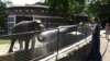Beo Zoo vrt na +40: Prskanje hladnom vodom i zaleđeno voće