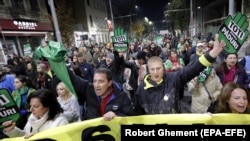 Un protest al ecologiștilor din România. 3 noiembrie 2019