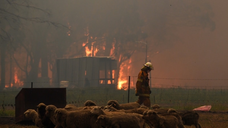 Shiu shuan disa zjarre në Australi, ndonëse temperaturat pritet të rriten sërish