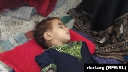 عکس له ارشیفه اخیستل شوی دی 