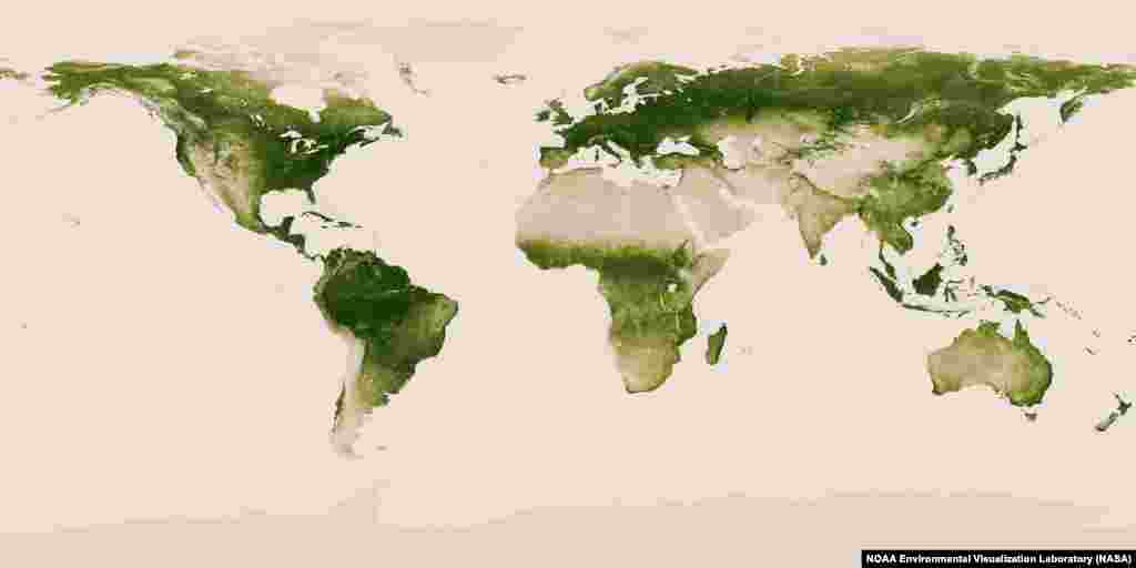 Satellite data from April 2012 to April 2013 were used to create this image. Dark green areas are lush in vegetation, whereas pale colors are sparse.