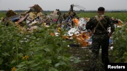 Ուկրաինա - Ռուսամետ զինյալը կործանված «Բոինգ-777»-ի բեկորների մոտ, Դոնեցկի մարզ, 18-ը հուլիսի, 2014թ․