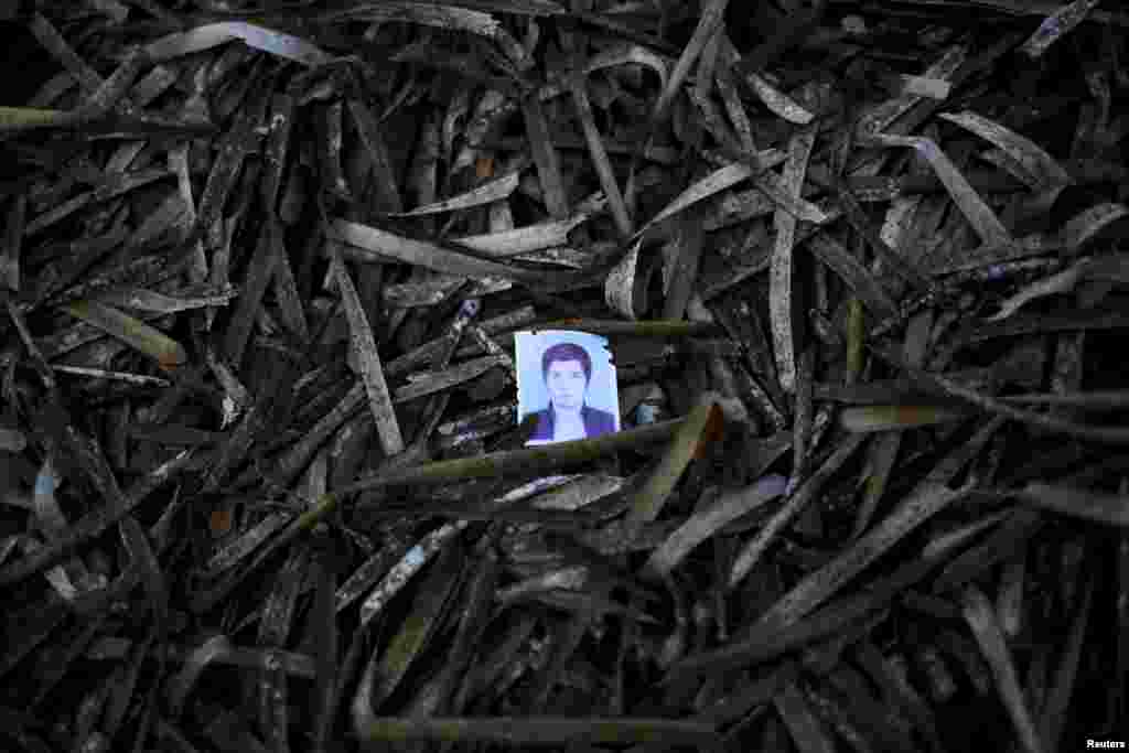 A passport photo left behind by a migrant is seen among seaweed on a beach on the Greek island of Lesbos. Of the record total of 432,761 refugees and migrants making the perilous journey across the Mediterranean to Europe so far this year, an estimated 309,000 people had arrived by sea in Greece, the International Organization for Migration said. (Reuters/Alkis Konstantinidis)