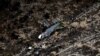 A view shows the site of a crashed plane owned by the private holding company of Turkish businessman Huseyin Basaran, March 12, 2018
