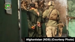 دستگیری هسته مشترک شبکه حقانی و داعش از سوی نیروهای ریاست امنیت ملی افغانستان