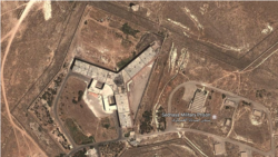 Эксперт Amnesty International Дайена Сенаан о казнях в тюрьме Асада
