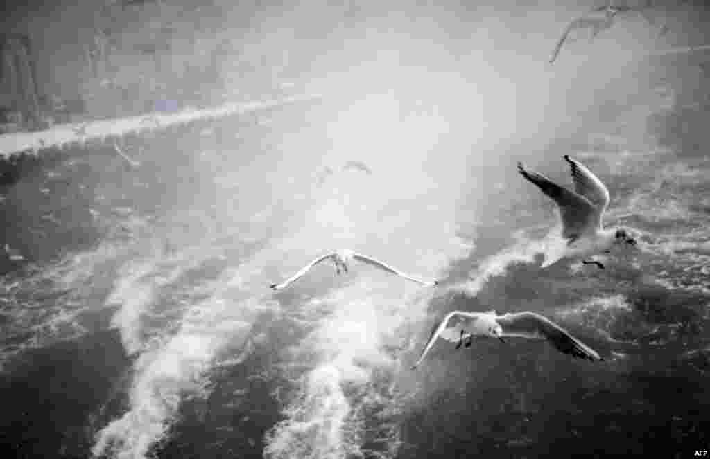 Seagulls fly over the Bosphorus during heavy snowfall on the Asian side of Istanbul on February 18. (AFP/Bulent Kulic)