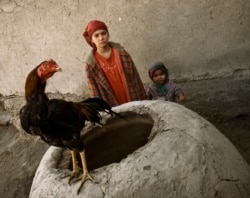 Village children with a rooster standing atop a traditional mud oven used for baking flatbread