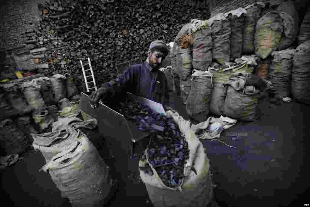A laborer sells coal in Peshawar, Pakistan. (epa/Bilawal Arbab)