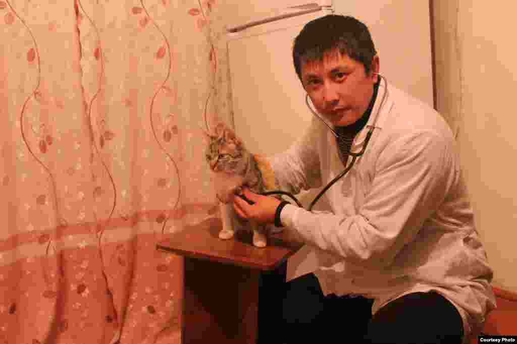 Эргешбаев Улан работает ветеринаром в селе Каражыгач Аксыйского района. Автор: Темирбекова Бегимай.