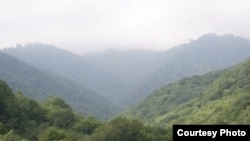 Armenia - Teghut forest.