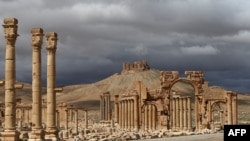 The air strikes in question came a day after Islamic State took back control of the ancient desert city of Palmyra in Syria (file photo).