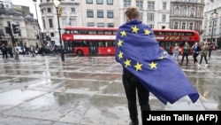 Человек, протестующий на Трафальгарской площади в Лондоне против выхода Великобритании из состава ЕС.