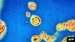 Imagine a virusului HIV
