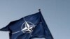 НАТО зацікавлене у співпраці з Україною – посол Литви