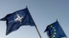 Raportul anual NATO: suport masiv al populației țărilor membre