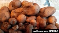 Картофель, купленный на рынке "Дженнет" в Ашхабаде. Февраль, 2020  