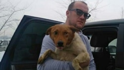 Сергей Снегирев забирает собаку из отлова, чтобы отвезти ее в клинику после того, как узнал, что она лишилась глаза.