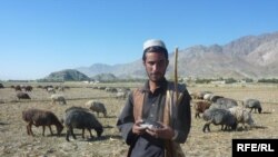 Radio Azadi radio distribution in Khunar province