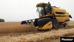 Wheat is harvested in Shirak province, Armenia in August.