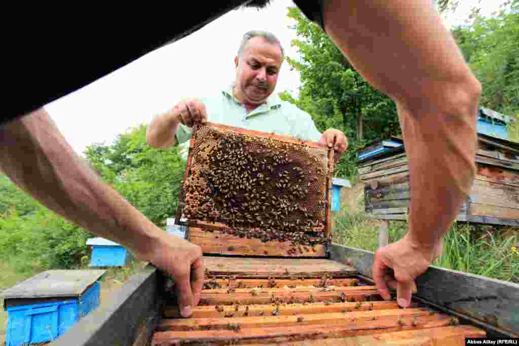 Bee keeping is one of the region's oldest industries. 