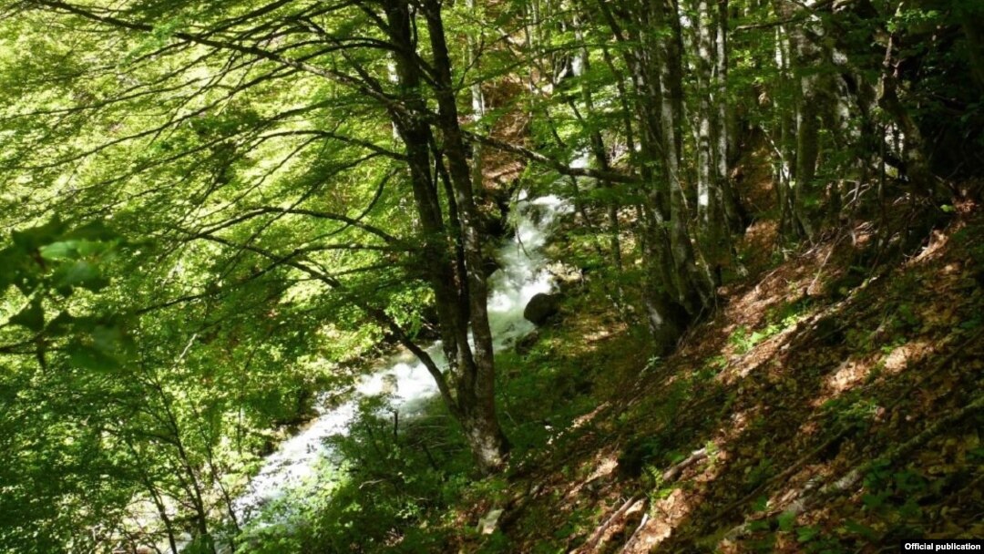 Жировничка Река на проектираната локација на горниот зафат за ХЕ Жировничка Река II. „Фронт 21/42.“