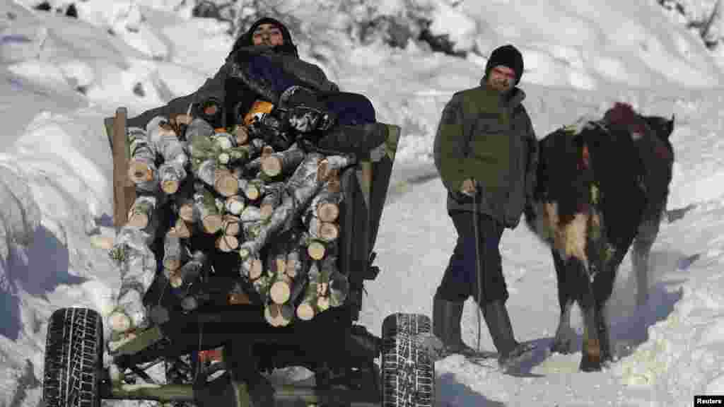 Жители деревни Йезерч на западе от столицы Косова Приштины запасаются древесиной. Температура упала до минус 18 градусов Цельсия. (Reuters/Хазир Река) 
