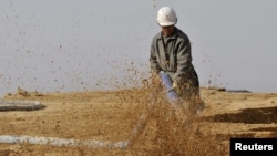 илустрација