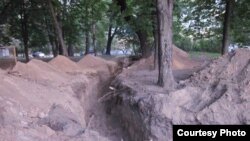 Hundreds of these trees were eventually felled in the historic Stroganov estate in Moscow.