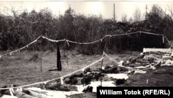 Corpuri dezgropate în Cimitirul săracilor în decembrie 1989 (Archive: W. Totok)