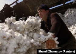 Uzbekistan’s cotton industry generates hundreds of millions of dollars in annual revenue. (file photo)