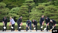Liderii G7 la o ceremonie simbolică de plantare de pomi la Ise-Jingu Shrine 