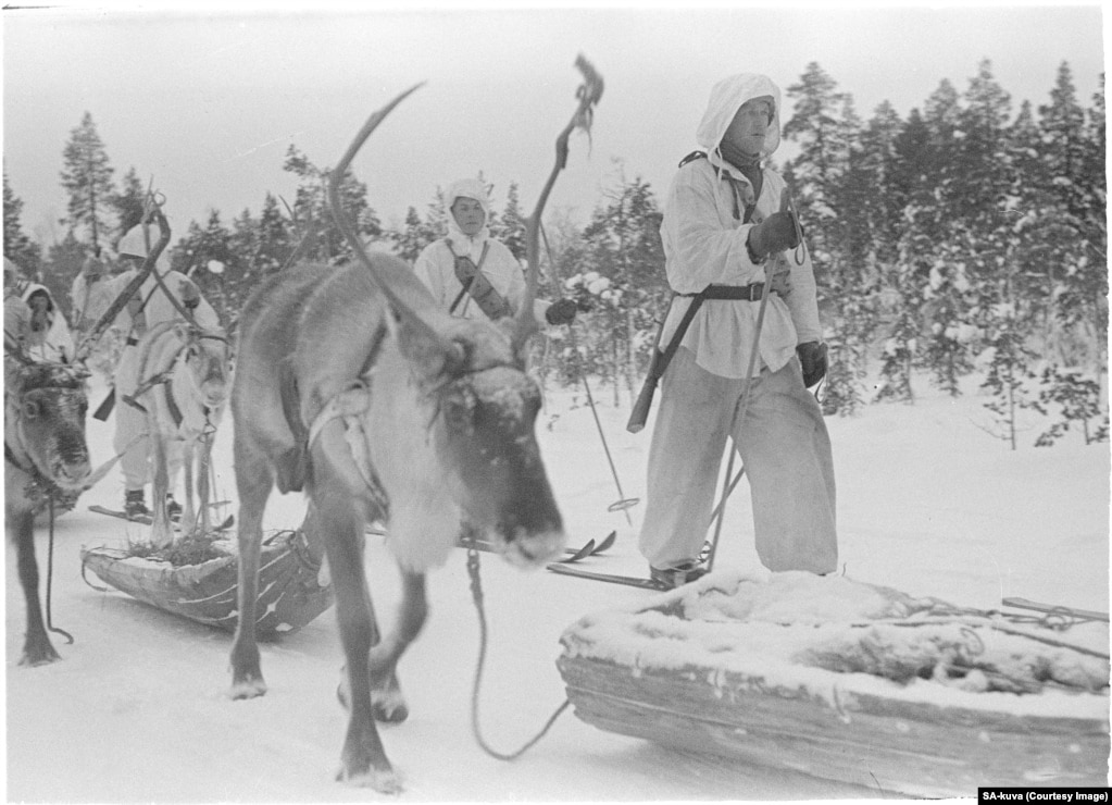 Фіни широко використовували оленів, це дозволяло бійцям майже нечутно перевозити кулемети та міномети лісами