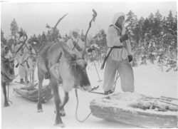 Finns made extensive use of reindeer that enabled the fighters to slide machine guns and mortars through the forests in near silence.