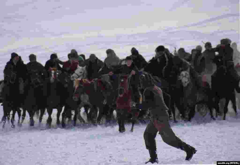 The referee places the carcass and the riders take off from the starting line.