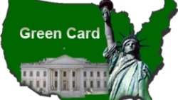 АКШ Green card лотереясын убактылуу токтотот