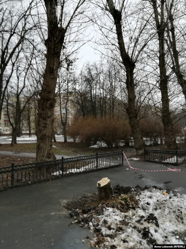 Деревья в сквере на 2-й Песчаной улице вырубали во время подготовки материала