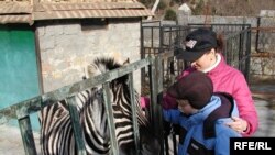 The zoo in Yalta is run by a prominent politician.